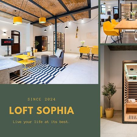 Luxurioeses 100M2 Loft Mit Sauna & Parkplatz - Platz Fuer 4 Personen Wiesbaden Exterior photo