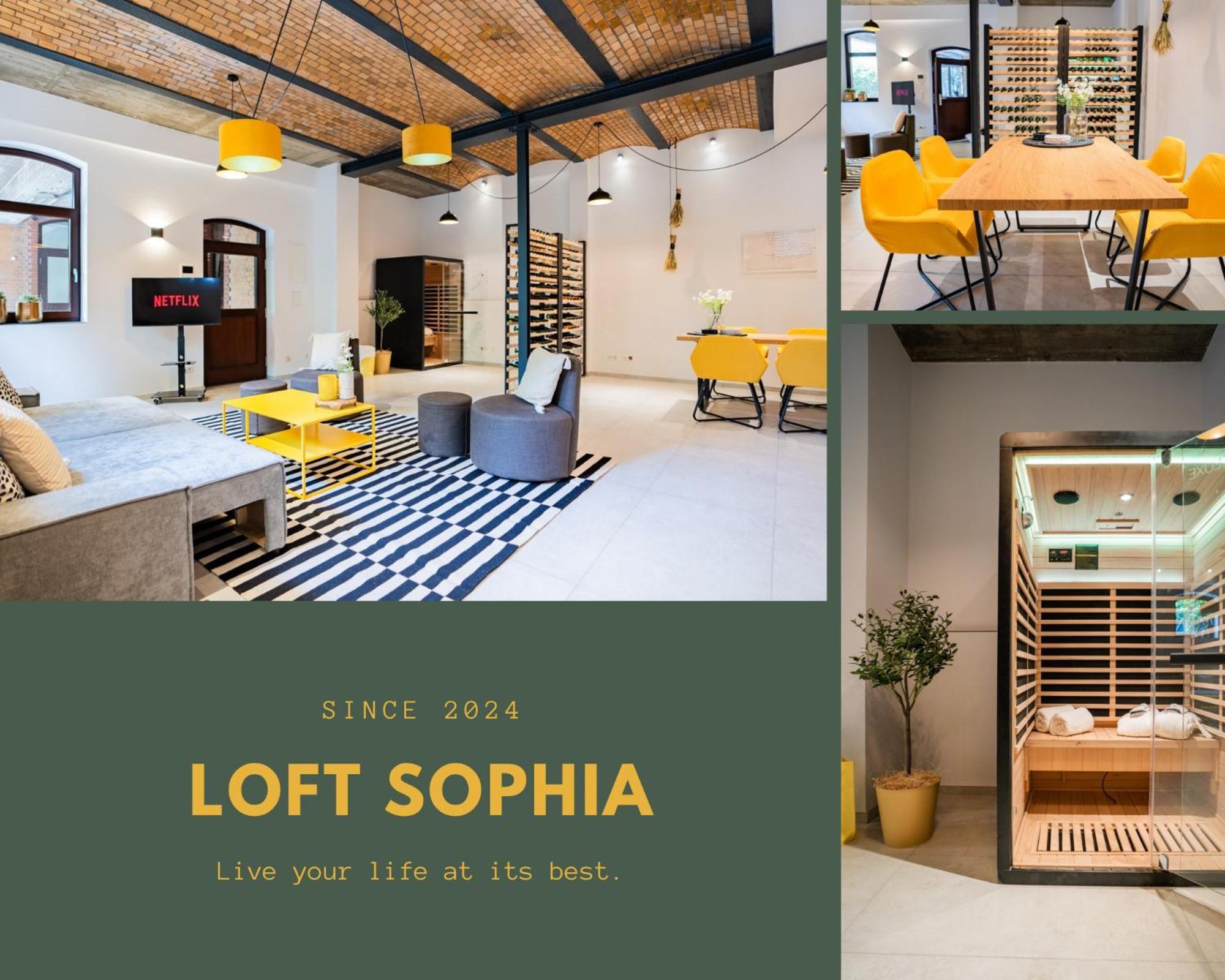 Luxurioeses 100M2 Loft Mit Sauna & Parkplatz - Platz Fuer 4 Personen Wiesbaden Exterior photo